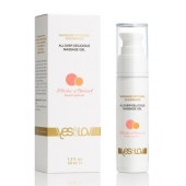 Универсальный массажный гель-смазка Allover Delicious Massage Gel с ароматом персика и аброкоса - 50 мл. - YESforLOV - купить с доставкой в Рубцовске