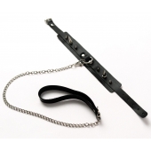 Черный ошейник с шипами и поводком - Crazy Handmade - купить с доставкой в Рубцовске