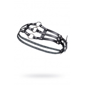 Черный кожаный пояс с кольцами - Pecado - купить с доставкой в Рубцовске