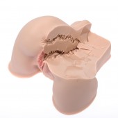 Мастурбатор-полуторс Naked Factory Kate - Naked Factory - в Рубцовске купить с доставкой