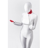 Красный ошейник с подкладкой из меха - ToyFa - купить с доставкой в Рубцовске