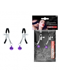 Оригинальные зажимы на соски с фиолетовыми шариками - Notabu - купить с доставкой в Рубцовске