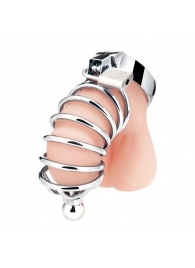 Серебристая клетка для члена Urethral Play Cage - BlueLine - купить с доставкой в Рубцовске