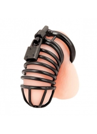 Черная металлическая клетка с замком Deluxe Chastity Cage - BlueLine - купить с доставкой в Рубцовске