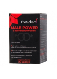 Капсулы для мужчин Erotichard male power с пантогематогеном - 20 капсул (0,370 гр.) - Erotic Hard - купить с доставкой в Рубцовске