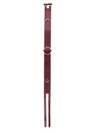 Бордовый ремень Halo Waist Belt - размер L-XL - Shots Media BV - купить с доставкой в Рубцовске