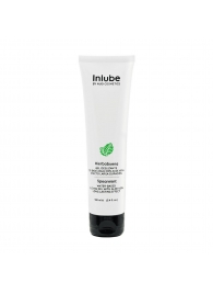 Водный лубрикант Nuei Inlube с алоэ вера и ароматом мяты - 100 мл. - Nuei cosmetics - купить с доставкой в Рубцовске