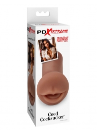 Мастурбатор-ротик Coed Cocksucker - Pipedream - в Рубцовске купить с доставкой