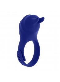 Синее эрекционное виброкольцо с клиторальной подушечкой и пультом ДУ Adjustable Fun Ring - Zero Tolerance - в Рубцовске купить с доставкой
