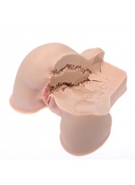 Мастурбатор-полуторс Naked Factory Kate - Naked Factory - в Рубцовске купить с доставкой