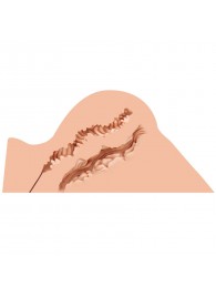 Мастурбатор-полуторс Naked Factory Hannah - Naked Factory - в Рубцовске купить с доставкой