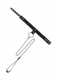 Черный узкий однослойный ошейник с серебристым поводком-цепочкой - Pecado - купить с доставкой в Рубцовске