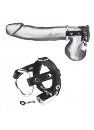 Утяжка на пенис на замочке Duo Cock And Ball Lock - BlueLine - купить с доставкой в Рубцовске