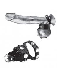 Утяжка для мошонки и пениса Cock Ring With 1  Ball Stretcher And Optional Weight Ring - BlueLine - купить с доставкой в Рубцовске