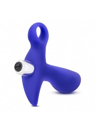 Синий стимулятор простаты с ручкой-кольцом Performance Prostimulator 02 - Blush Novelties - в Рубцовске купить с доставкой