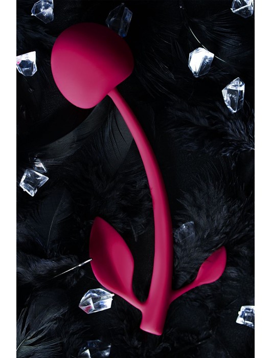 Бордовая вагинальная вишенка WILD CHERRY - 14,5 см. - JOS