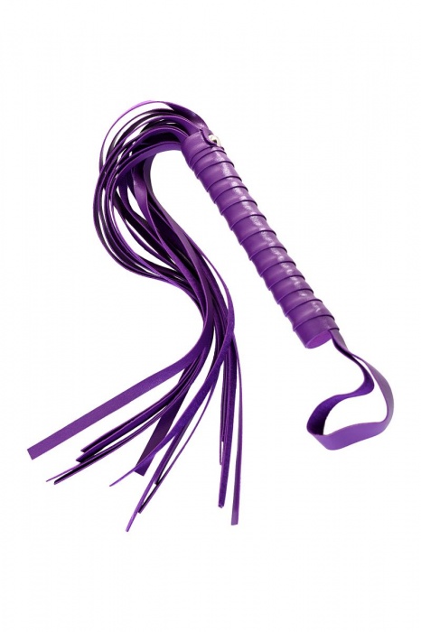 Фиолетовый набор БДСМ «Накажи меня нежно» с карточками - Штучки-дрючки - купить с доставкой в Рубцовске