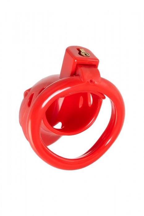 Красный мужской пояс верности из пластика - ToyFa - купить с доставкой в Рубцовске