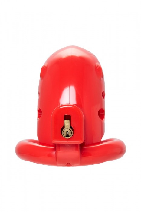 Красный мужской пояс верности из пластика - ToyFa - купить с доставкой в Рубцовске