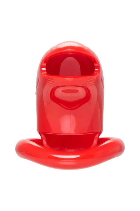 Красный мужской пояс верности из пластика - ToyFa - купить с доставкой в Рубцовске