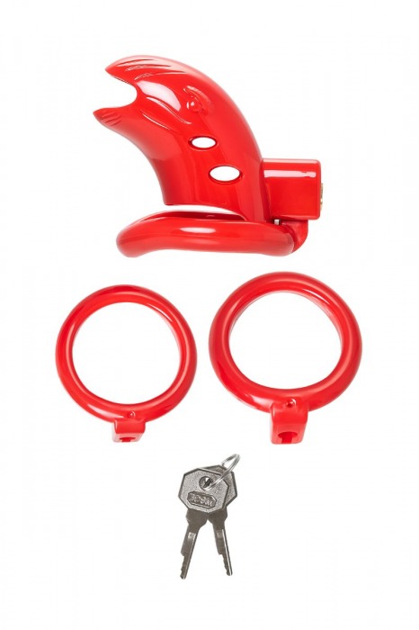 Красный мужской пояс верности из пластика - ToyFa - купить с доставкой в Рубцовске