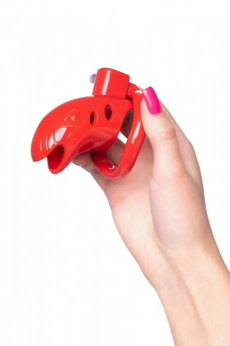 Красный мужской пояс верности из пластика - ToyFa - купить с доставкой в Рубцовске