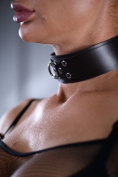 Коричневый ошейник Sex Game с поводком - БДСМ Арсенал - купить с доставкой в Рубцовске