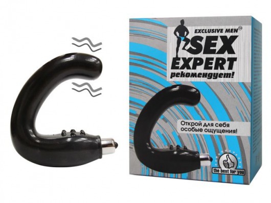 Чёрный массажёр простаты серии Sex Expert - Sex Expert - в Рубцовске купить с доставкой