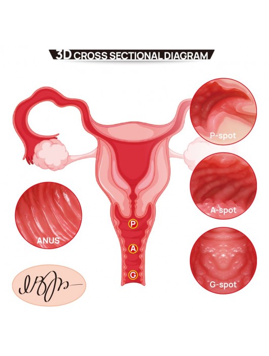 Мастурбатор-полуторс с двойным слоем материала Vanilla Onahole Real Vagina - KOKOS - в Рубцовске купить с доставкой