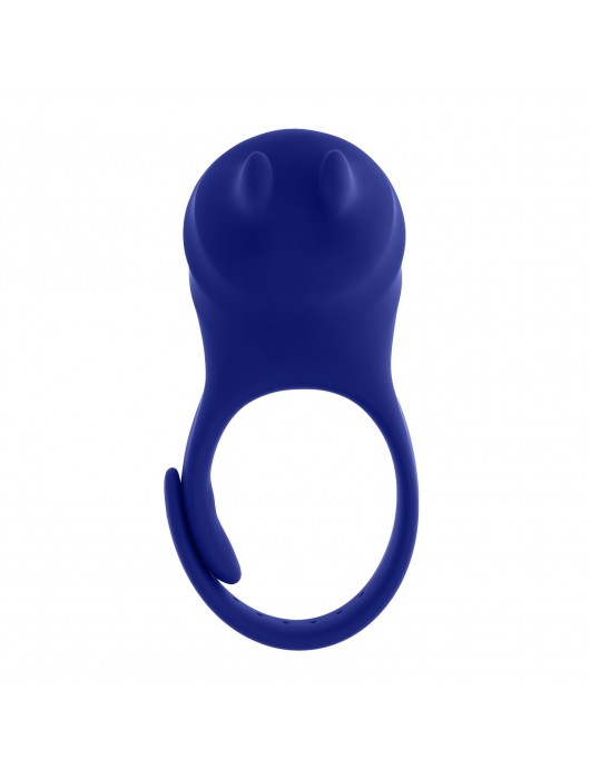 Синее эрекционное виброкольцо с клиторальной подушечкой и пультом ДУ Adjustable Fun Ring - Zero Tolerance - в Рубцовске купить с доставкой