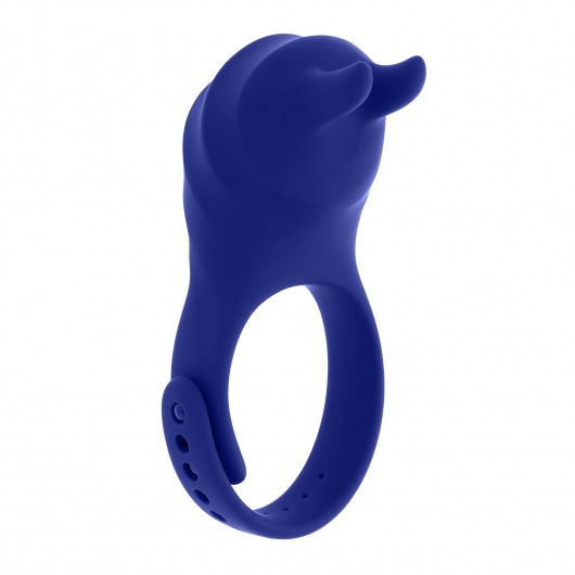 Синее эрекционное виброкольцо с клиторальной подушечкой и пультом ДУ Adjustable Fun Ring - Zero Tolerance - в Рубцовске купить с доставкой