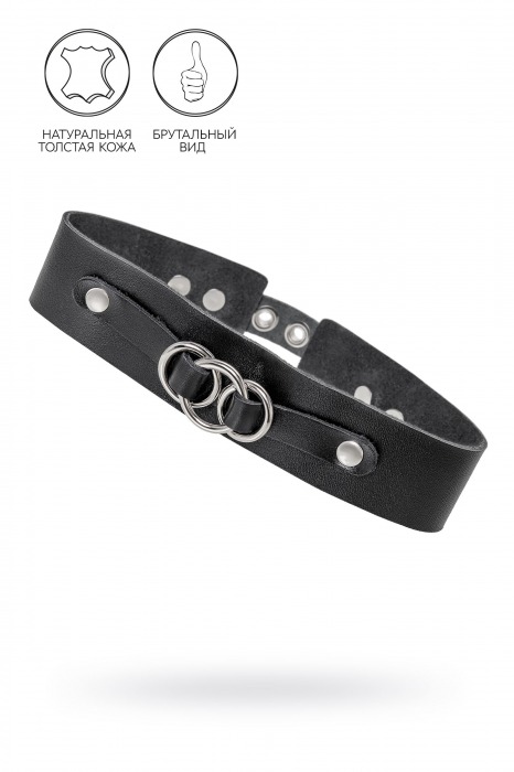 Черный чокер-ошейник со связанными кольцами на подложке - Pecado - купить с доставкой в Рубцовске