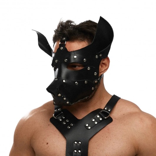 Черная кожаная маска «Собака» - Crazy Handmade - купить с доставкой в Рубцовске