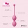 Набор из 3 розовых вагинальных шариков FemmeFit Advanced Pelvic Muscle Training Set - FeelzToys в Рубцовске Набор из 3 розовых вагинальных шариков FemmeFit Advanced Pelvic Muscle Training Set - FeelzToys